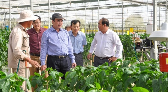 Кандидат наук Фам Ш. (в центре) на территории высокотехнологичного сельскохозяйственного производства в уезде Донзыонг провинции Ламдонг. 