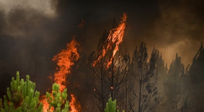 Пожар на юго-западе Франции. Фото: AFP/VNA